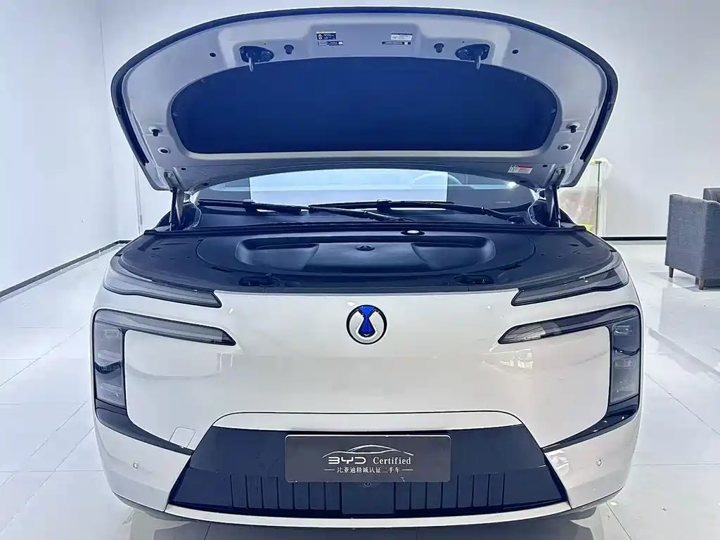 Denza Zoom N8L — миниатюра 9