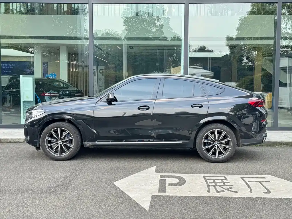 BMW X6 — миниатюра 4