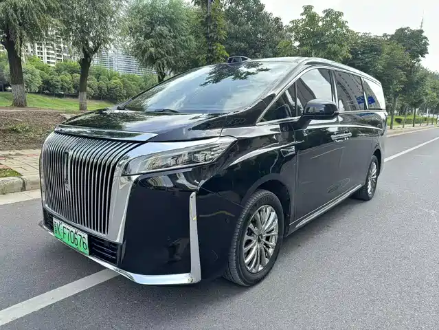 2025 Wey Gaoshan
