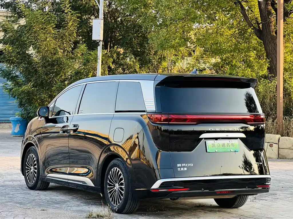 Denza Denza D9 — миниатюра 4