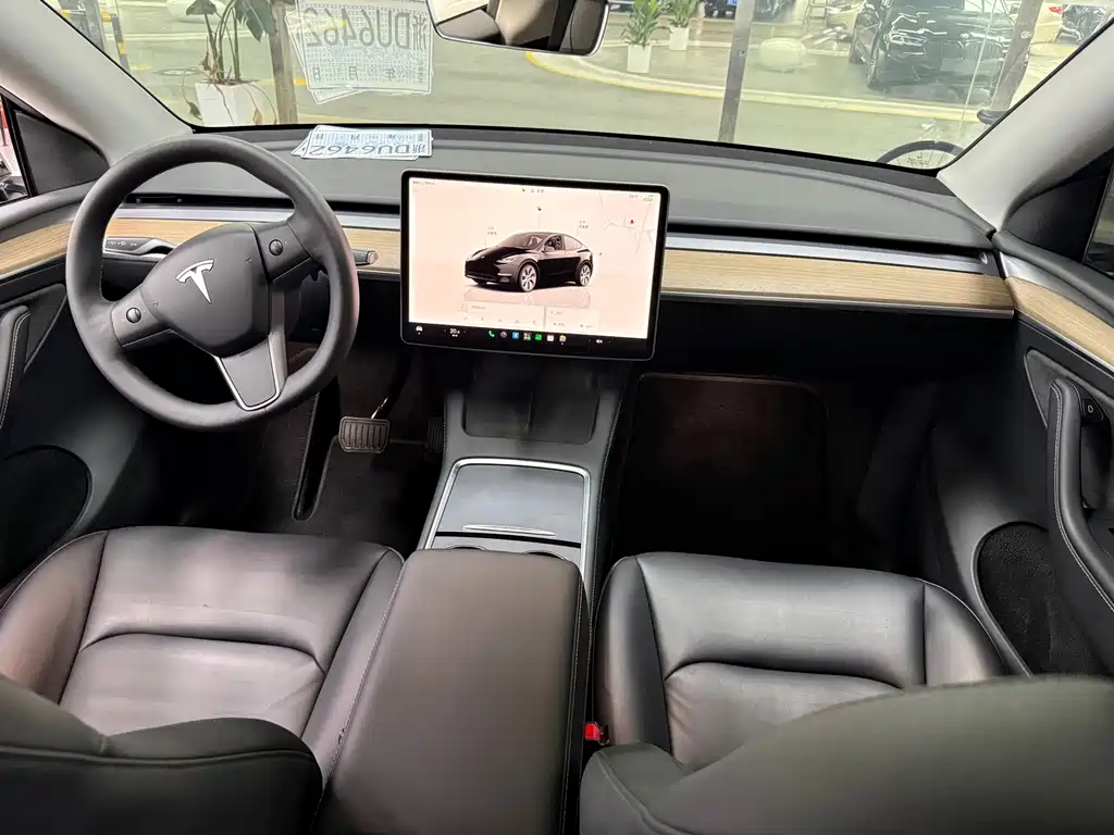 Tesla Model Y — миниатюра 10