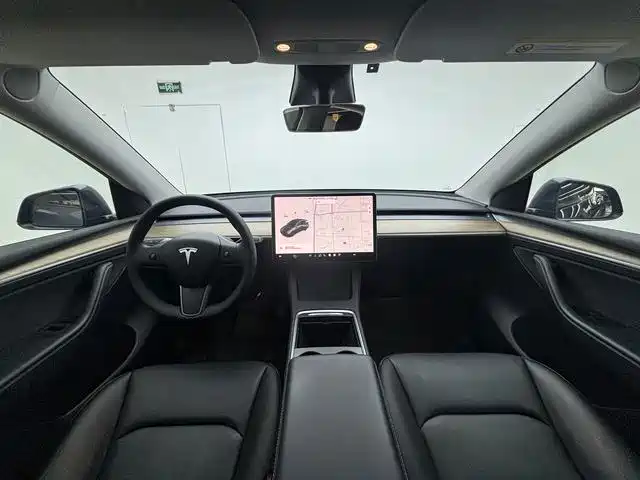 Tesla Model Y — миниатюра 9