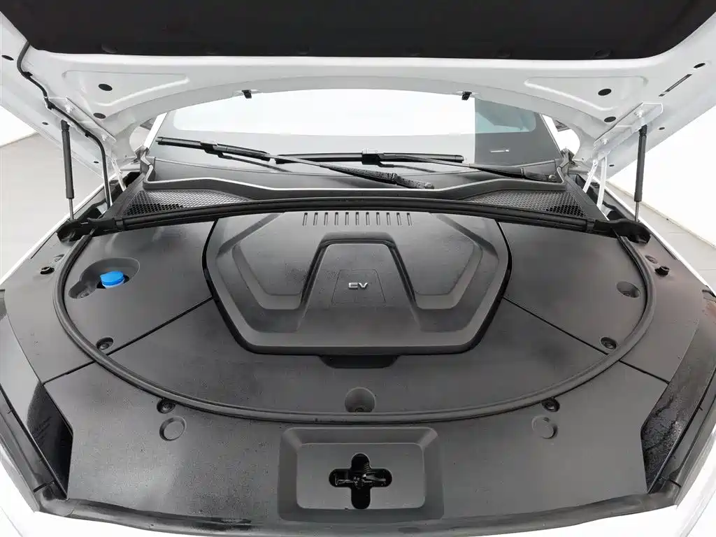 BYD SONGJIANG NEW ENERGY