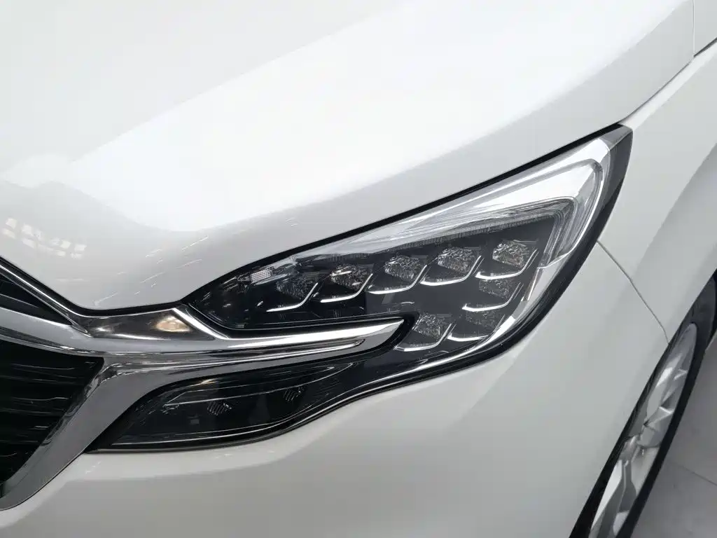 Buick GL8 — миниатюра 7