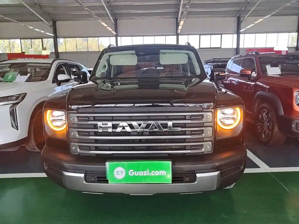 Haval Menglong New Energy — миниатюра 3