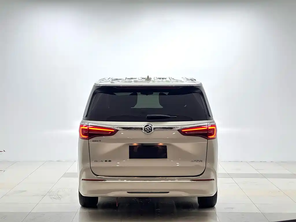Buick GL8 — миниатюра 15