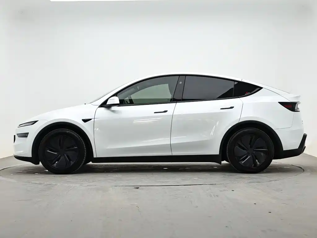Tesla Model Y — миниатюра 6