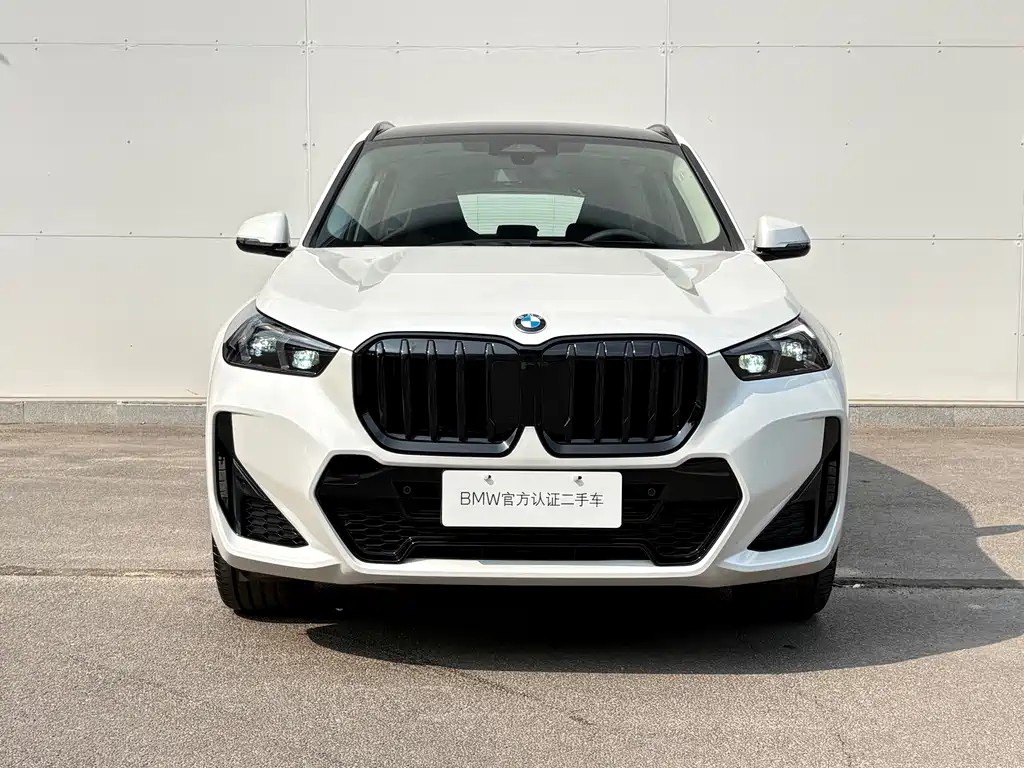 BMW X1 — миниатюра 2