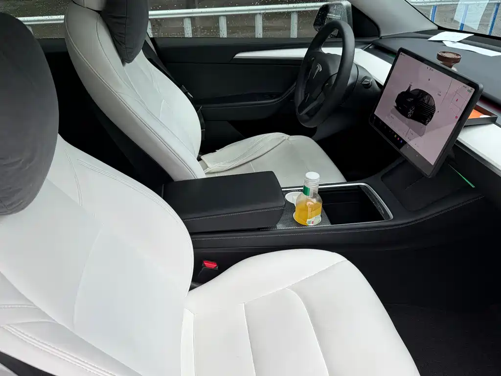 Tesla Model Y — миниатюра 8