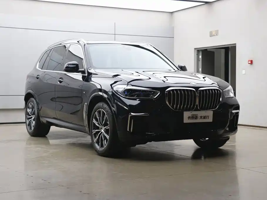 BMW X5 — миниатюра 30