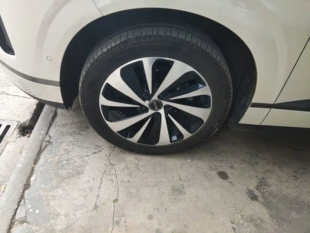 BYD Sealion 06 — миниатюра 23