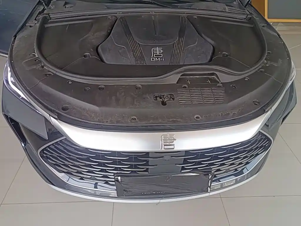 BYD Tang New Energy — миниатюра 20
