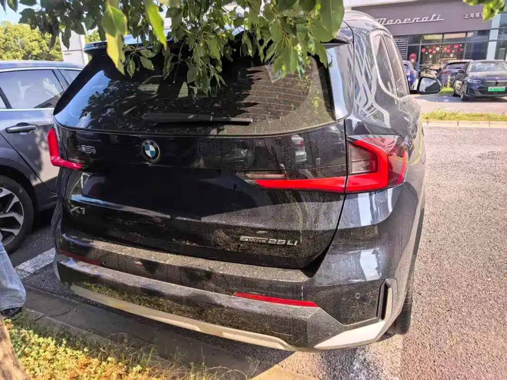 BMW X1 — миниатюра 2