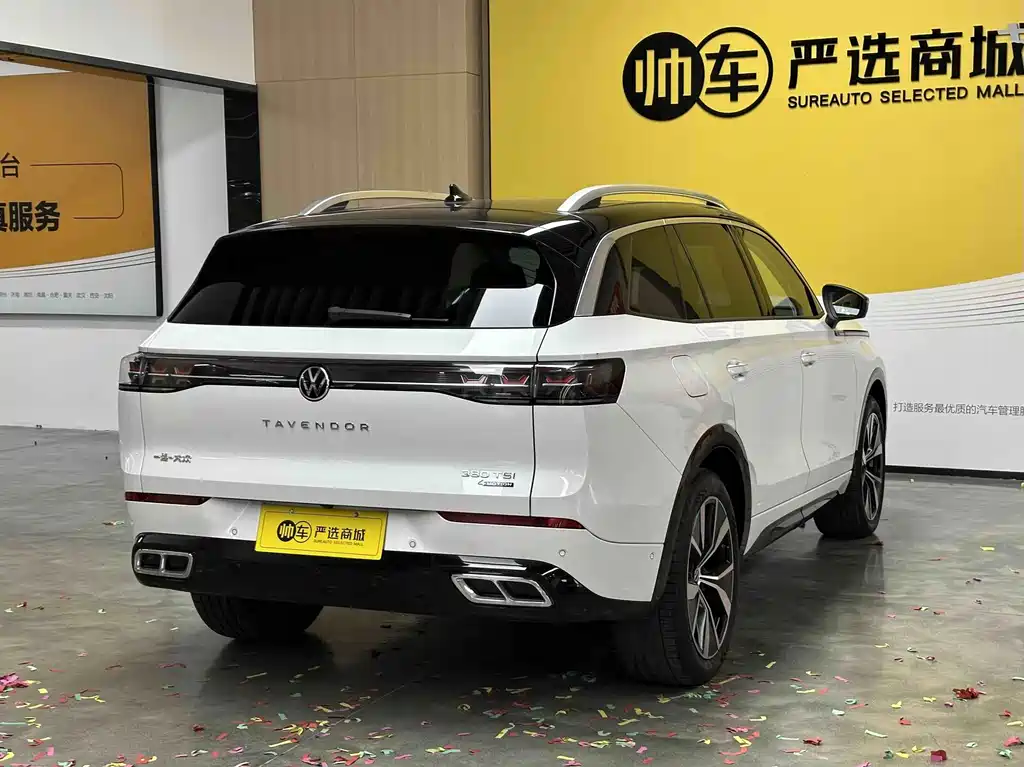 Volkswagen Tavendor — миниатюра 7