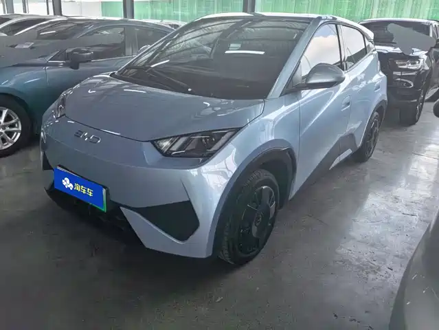 2025 BYD Seagull