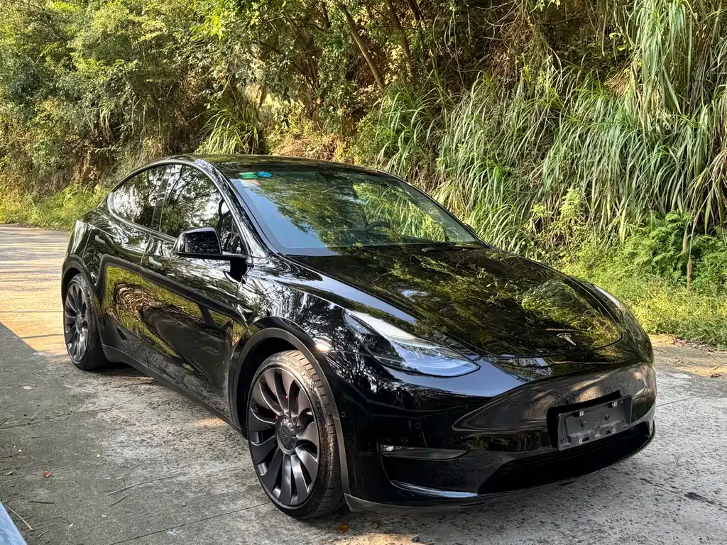 Tesla Model Y — миниатюра 3