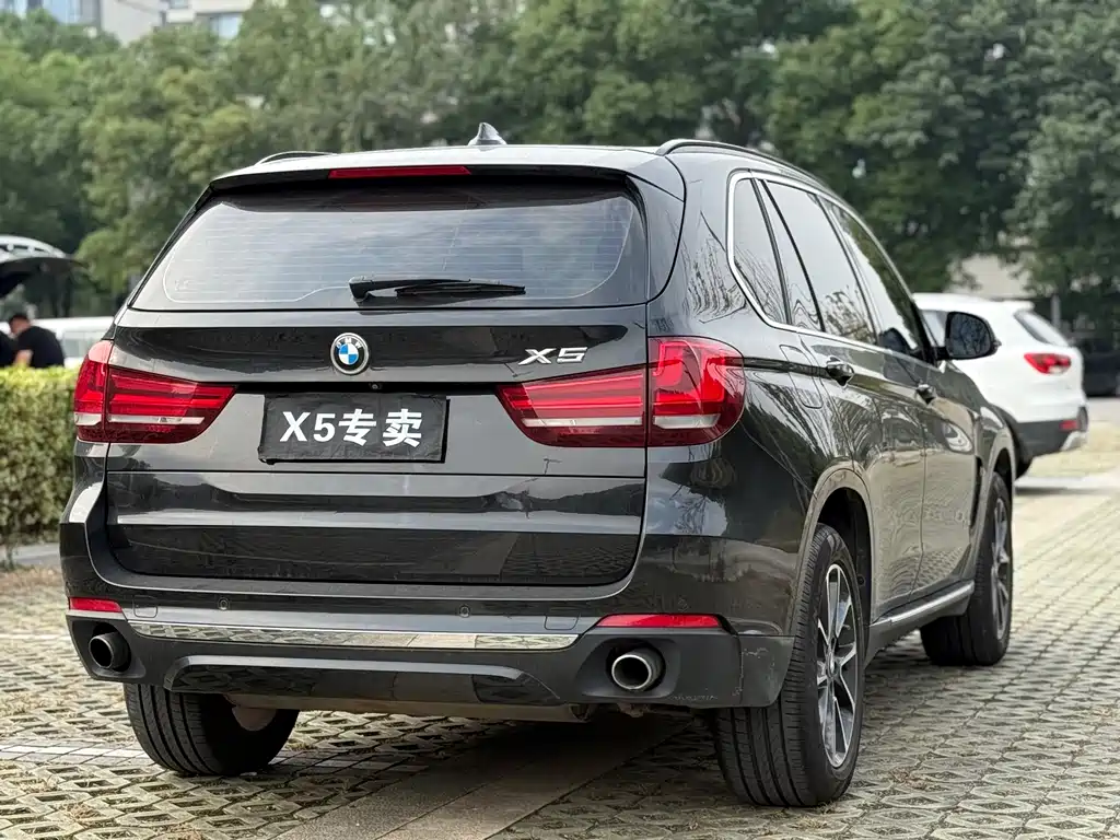 BMW X5 (Import) — миниатюра 15
