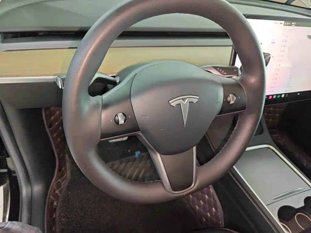 Tesla Model Y — миниатюра 11