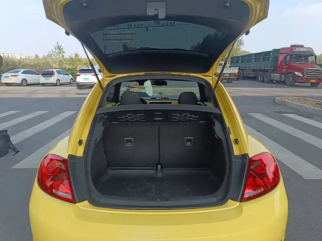 Volkswagen Beetle — миниатюра 19