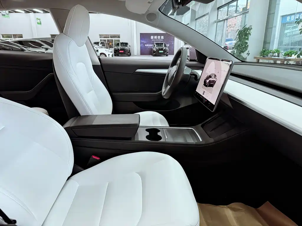 Tesla Model 3 — миниатюра 17