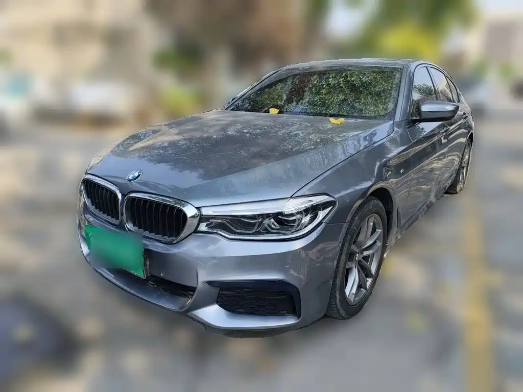BMW 5 Series (Import)