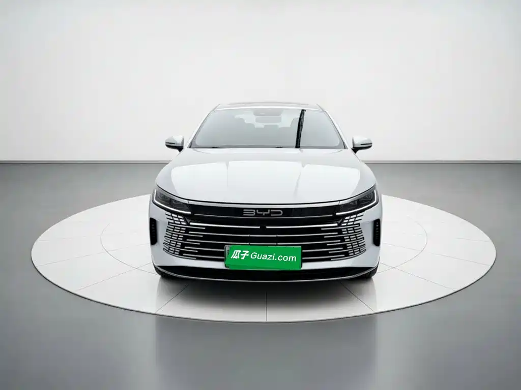 BYD Destroyer 05 — миниатюра 2