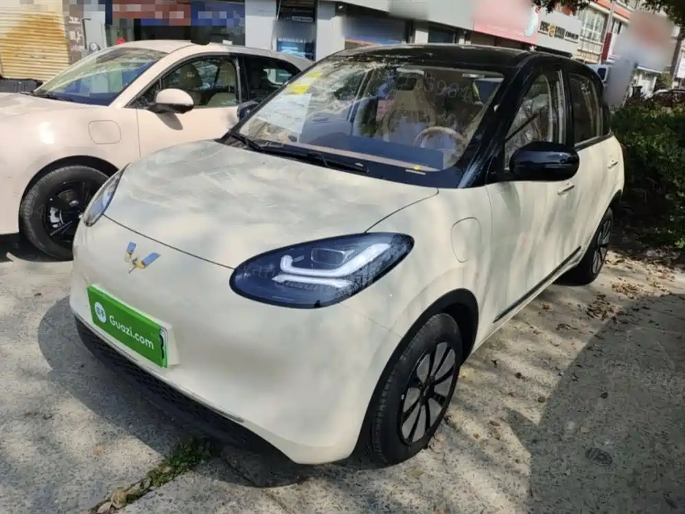 Wuling Binguo 2025 333km