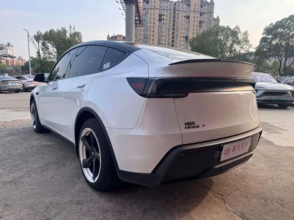 Tesla Model Y — миниатюра 11