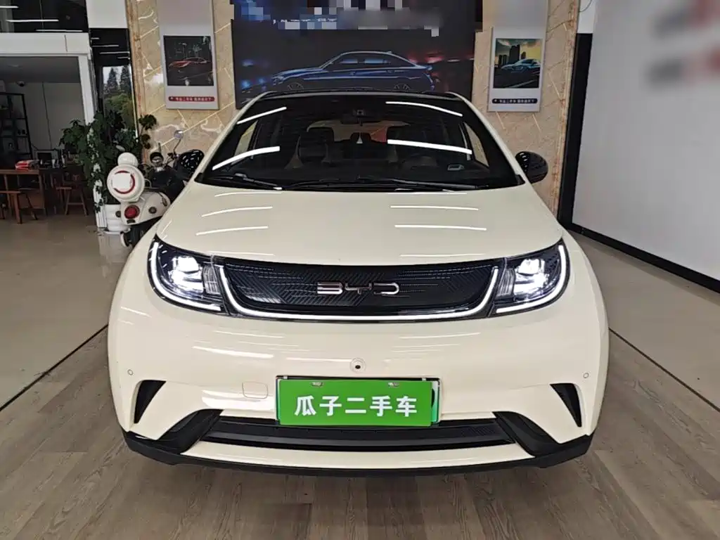 BYD Dolphin — миниатюра 3