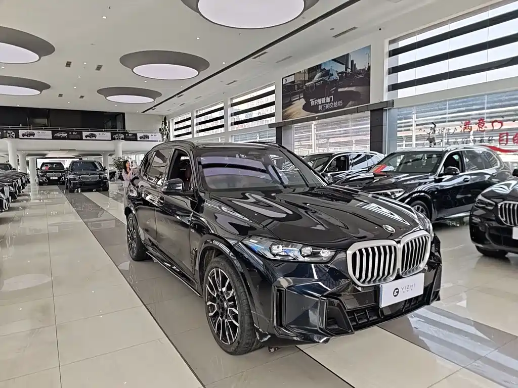 BMW X5 — миниатюра 3