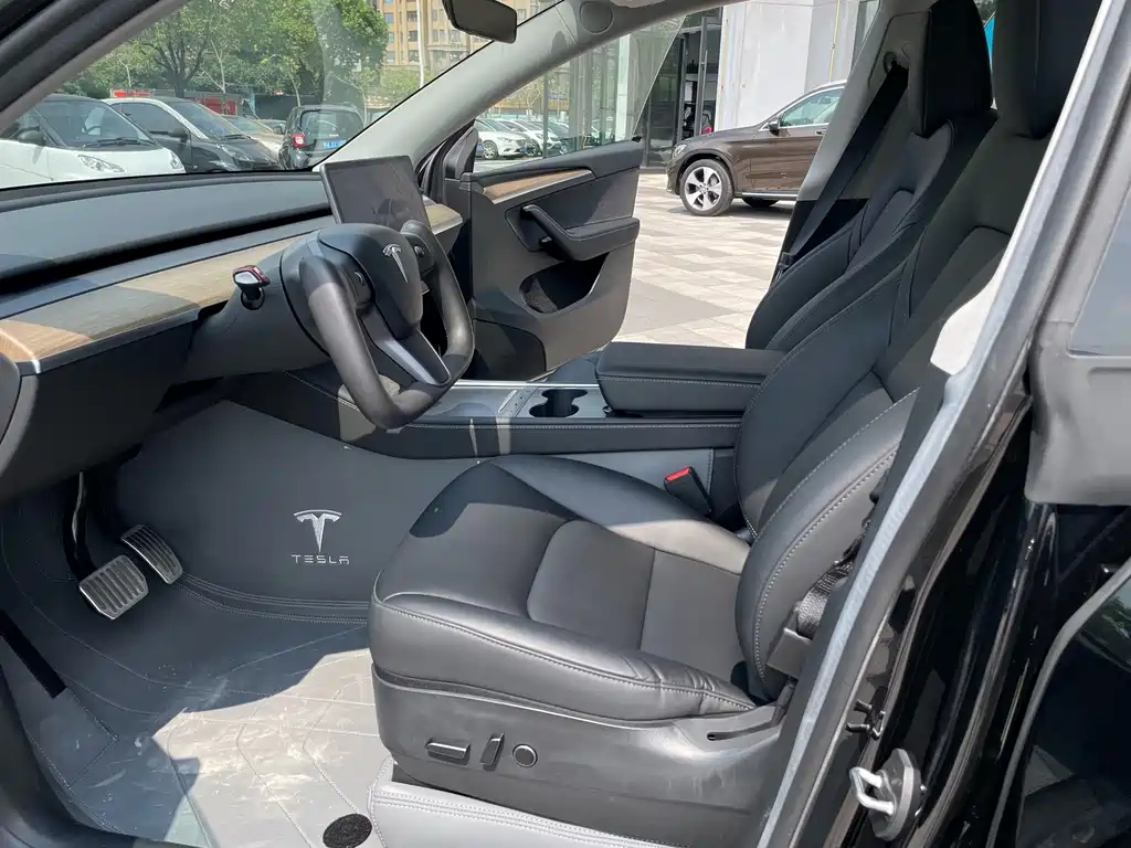 Tesla Model Y — миниатюра 11