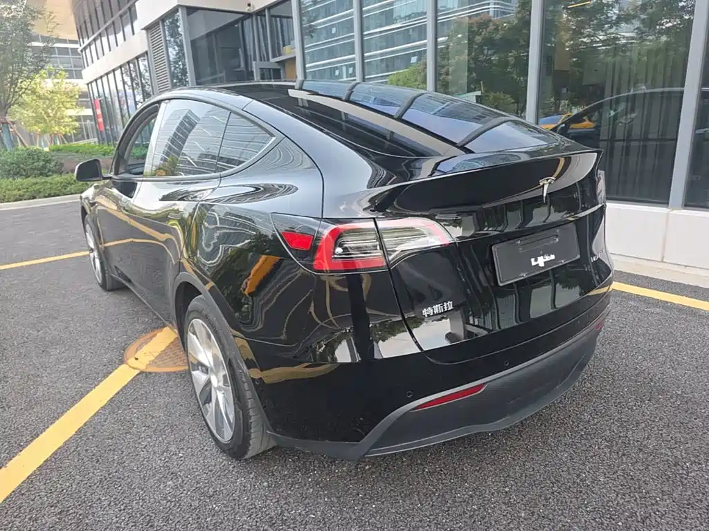 Tesla Model Y — миниатюра 5