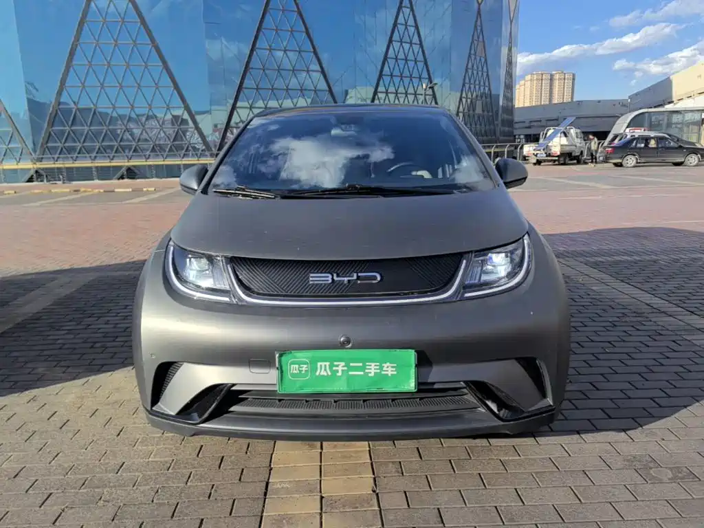 BYD Dolphin — миниатюра 3