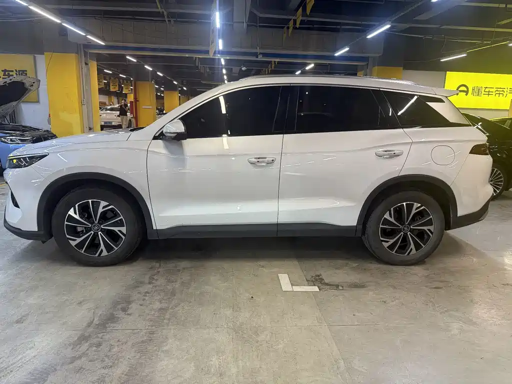 BYD Pro New Energy — миниатюра 2