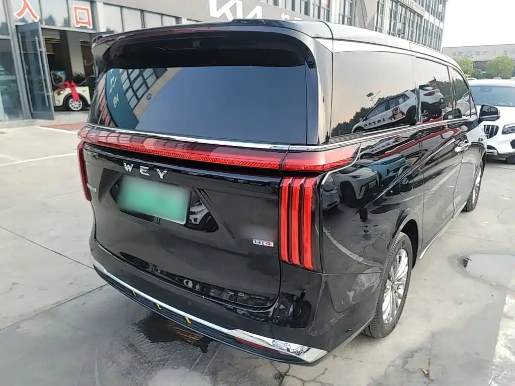 Wey Wey Gaoshan New Energy — миниатюра 7
