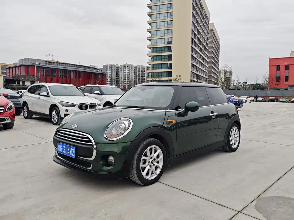 Mini Mini 2017