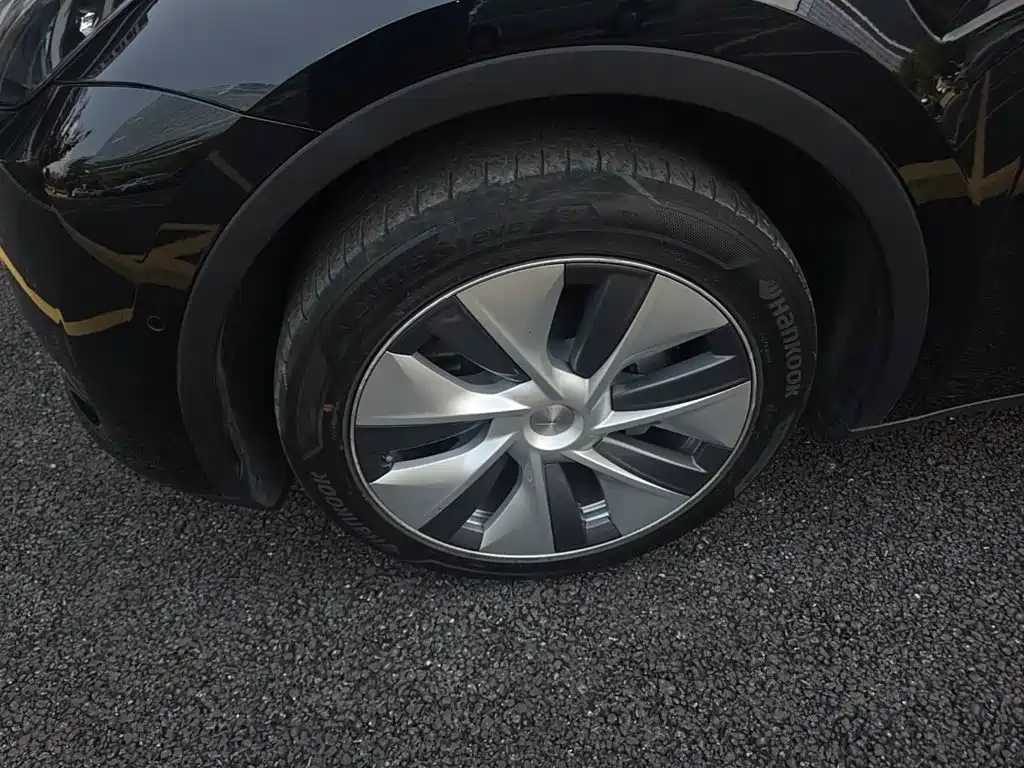 Tesla Model Y — миниатюра 23