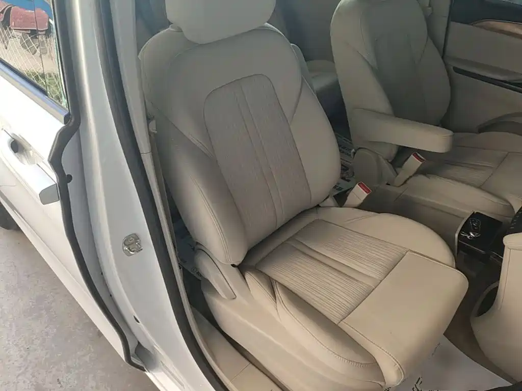 Buick GL8 — миниатюра 25