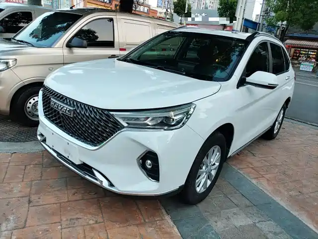 HAVAL  M6