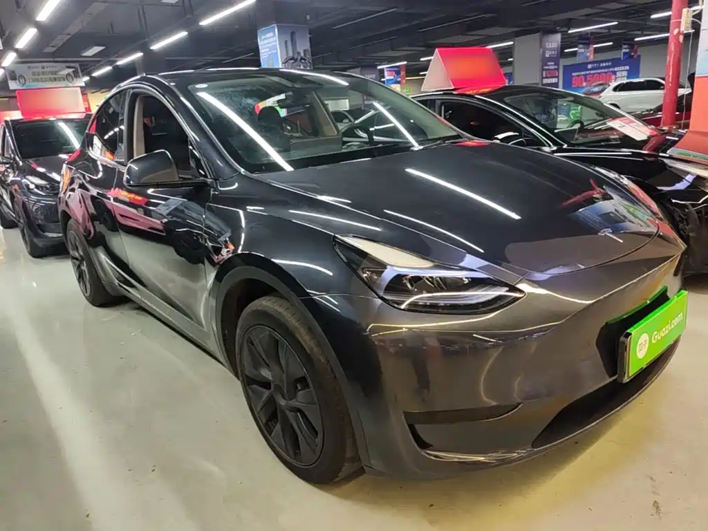 Tesla Model Y — миниатюра 4