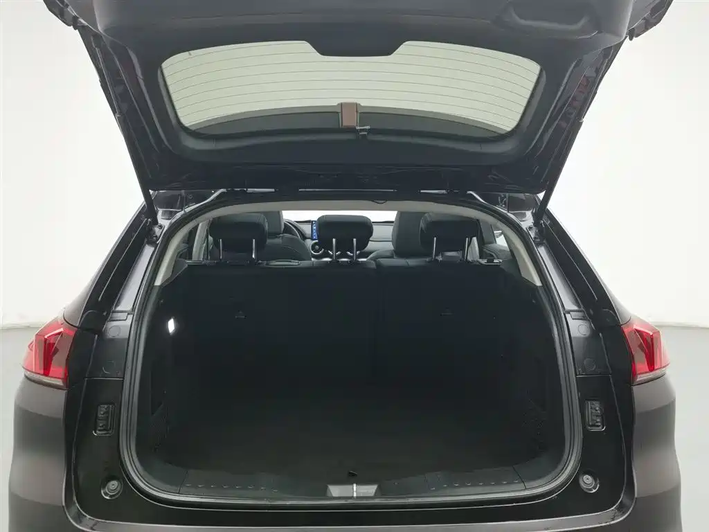 WEI PAI WEI BRAND VV5