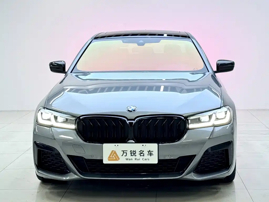 BMW 5 Series (Import) — миниатюра 2