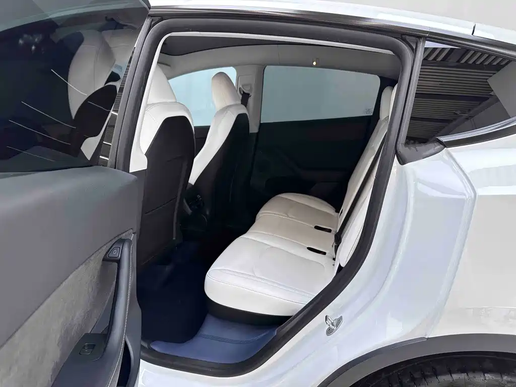 Tesla Model Y — миниатюра 9