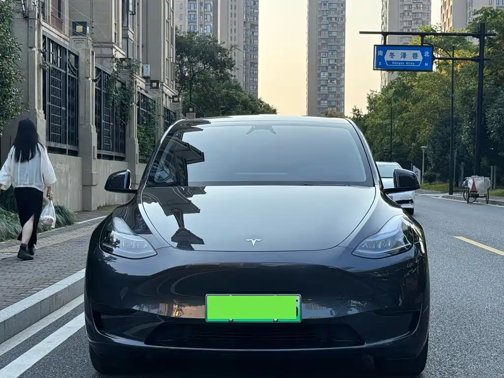 Tesla Model Y — миниатюра 2