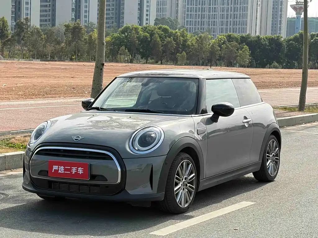 Mini Mini 2022