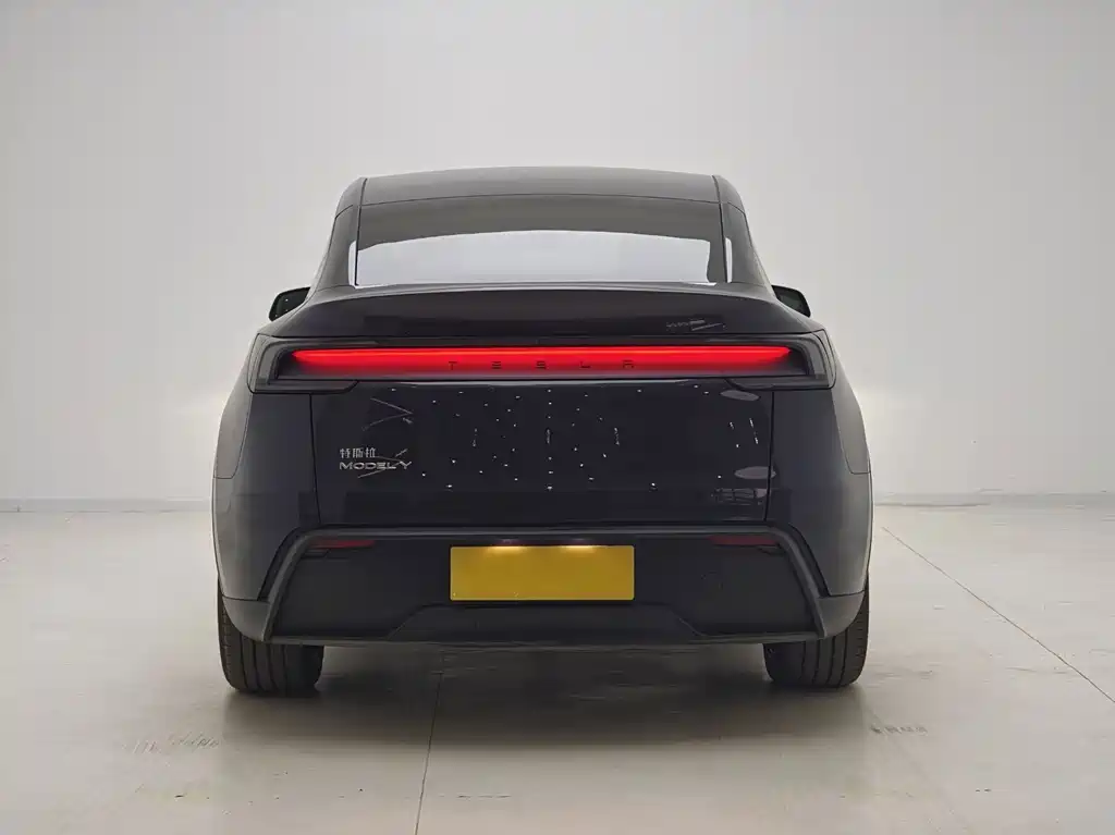 Tesla Model Y — миниатюра 10