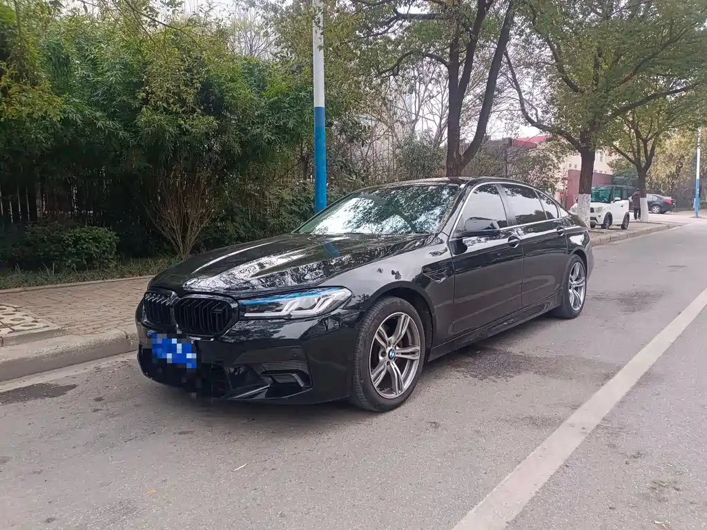 BMW 5 Series 2013