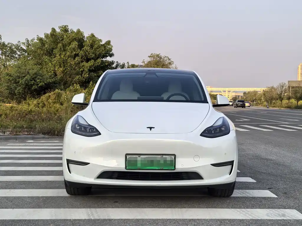 Tesla Model Y — миниатюра 2