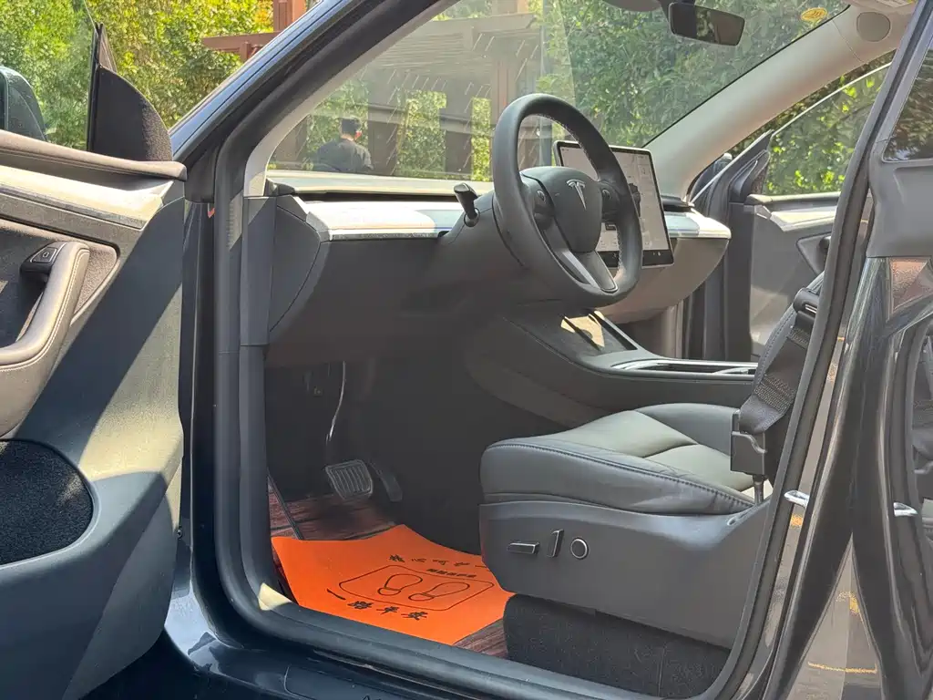 Tesla Model Y — миниатюра 4