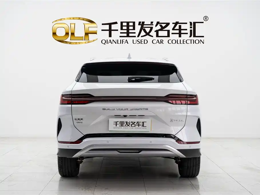 BYD SONGJIANG NEW ENERGY